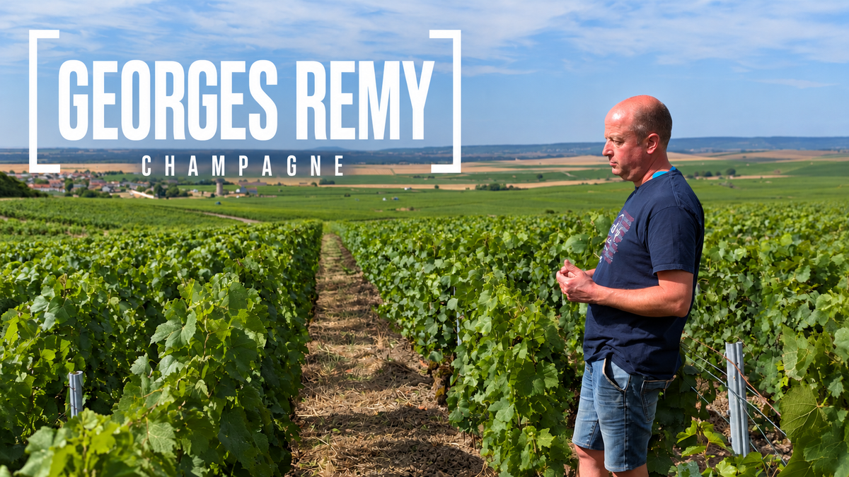 Champagne Georges Remy à Bouzy