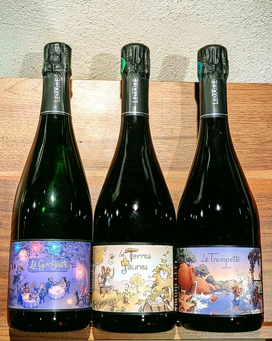 Aurélien Lemaire Duo