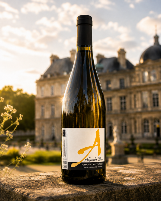 Champ Couturier 2023 d’Alexandre Bain, sauvignon de Loire