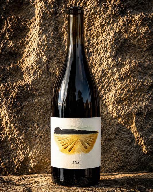 Brij Wines ENZ Mourvèdre 2024 – Rajat Parr – San Benito County, Californie