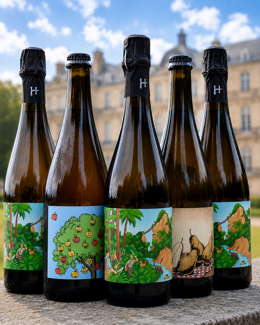 Champagne Poire Pomme - 6 Bouteilles