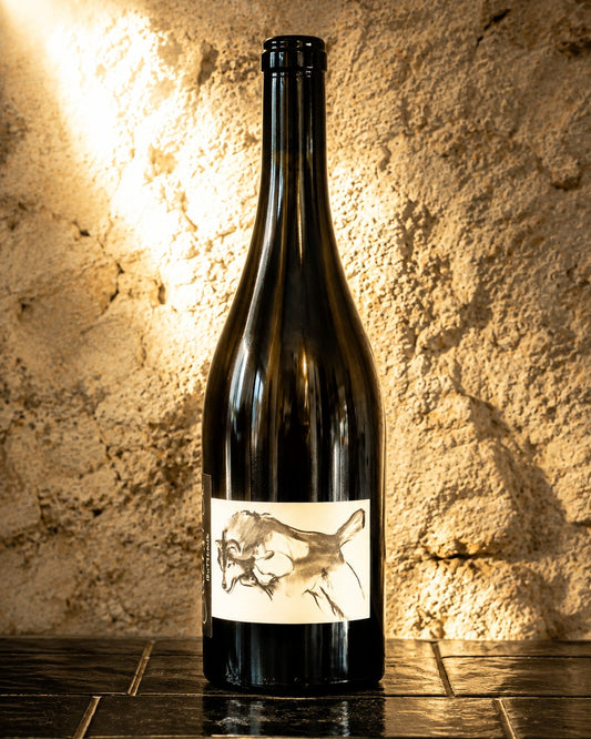 Butteaux Mise Tardive 2018 du Domaine Pattes Loup, Chablis Premier Cru signé Thomas Pico.