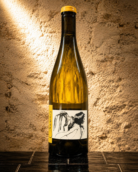 Vent d’Ange 2019 de Thomas Pico, Chablis du Domaine Pattes Loup en Bourgogne.