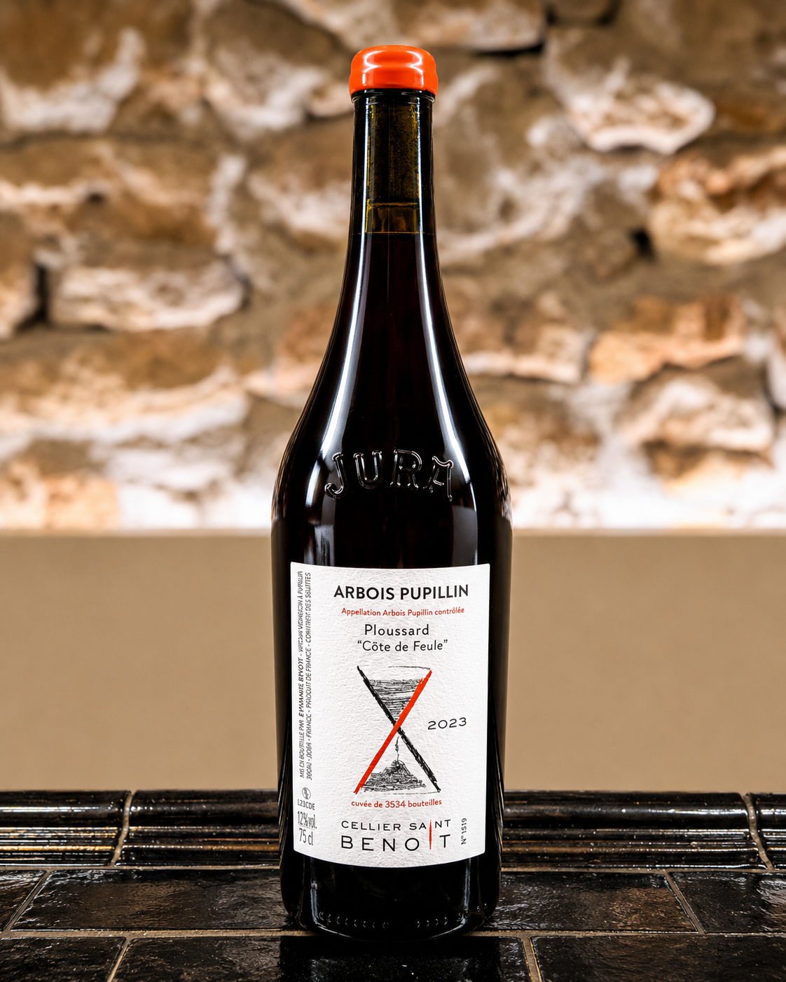 Ploussard Côte de Feule 2023 de Benjamin Benoît, Arbois Pupillin du Cellier Saint Benoît dans le Jura.
