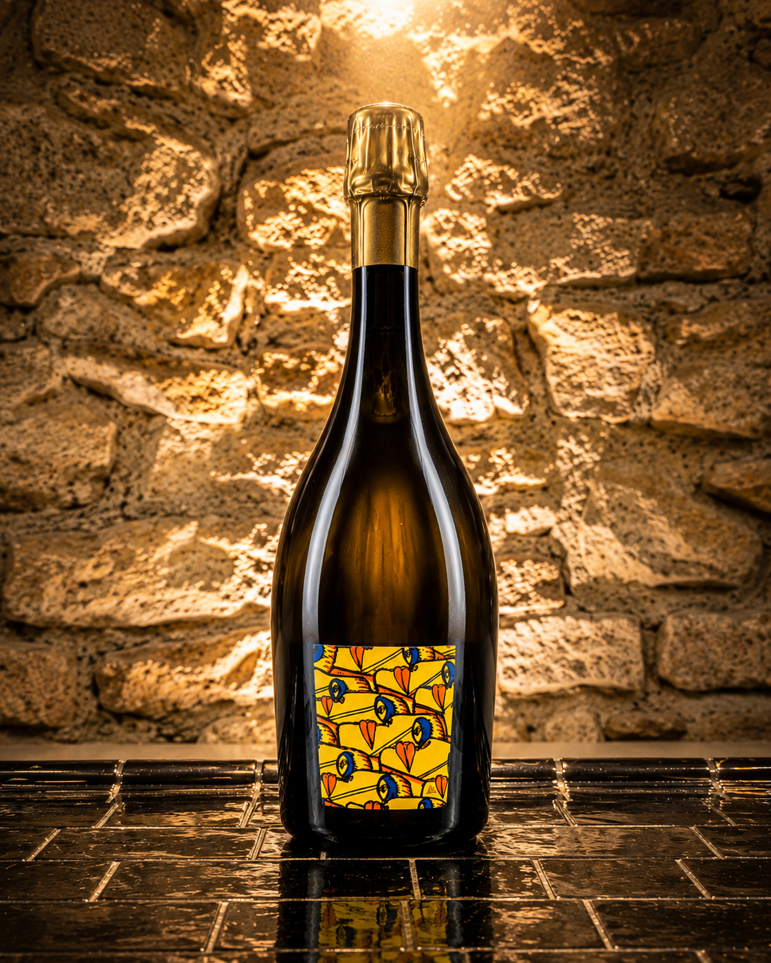 Champagne Timothée Stroebel Logos Blanc 2015, Pinot Noir parcellaire Les Hazardes à Villers-Allerand.
